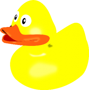 Rubber Duck Race Fundraiser